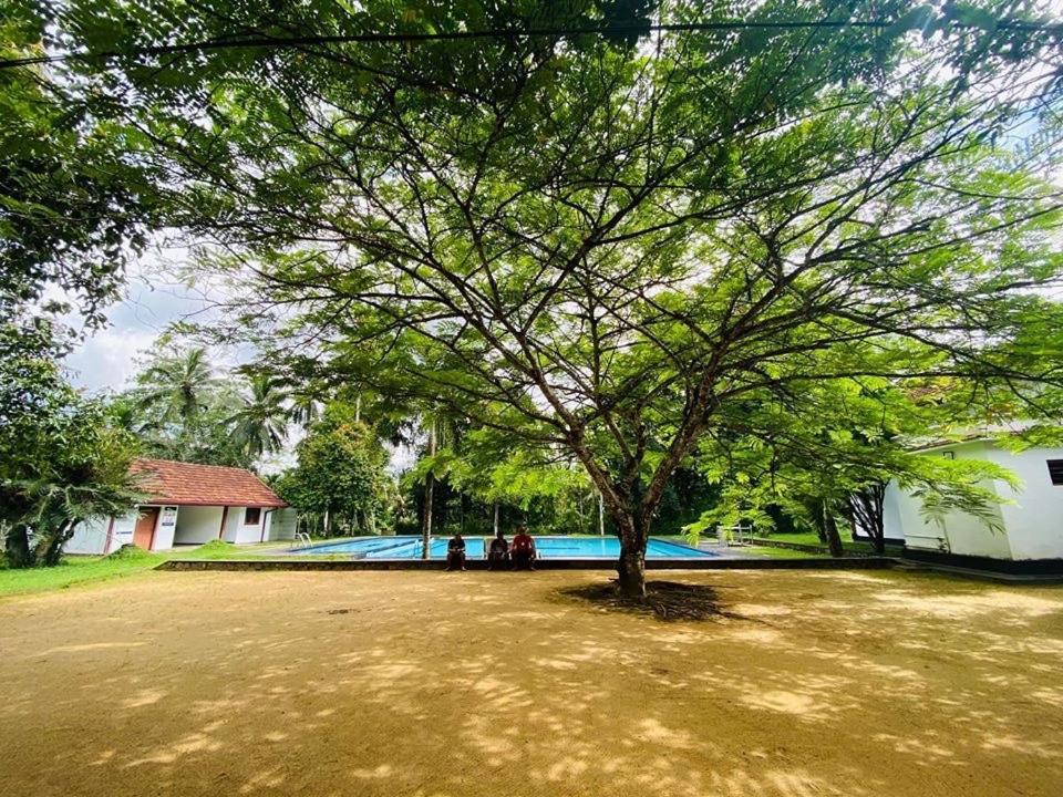 Randiyaepiliyagoda Resort Avissawella Kültér fotó