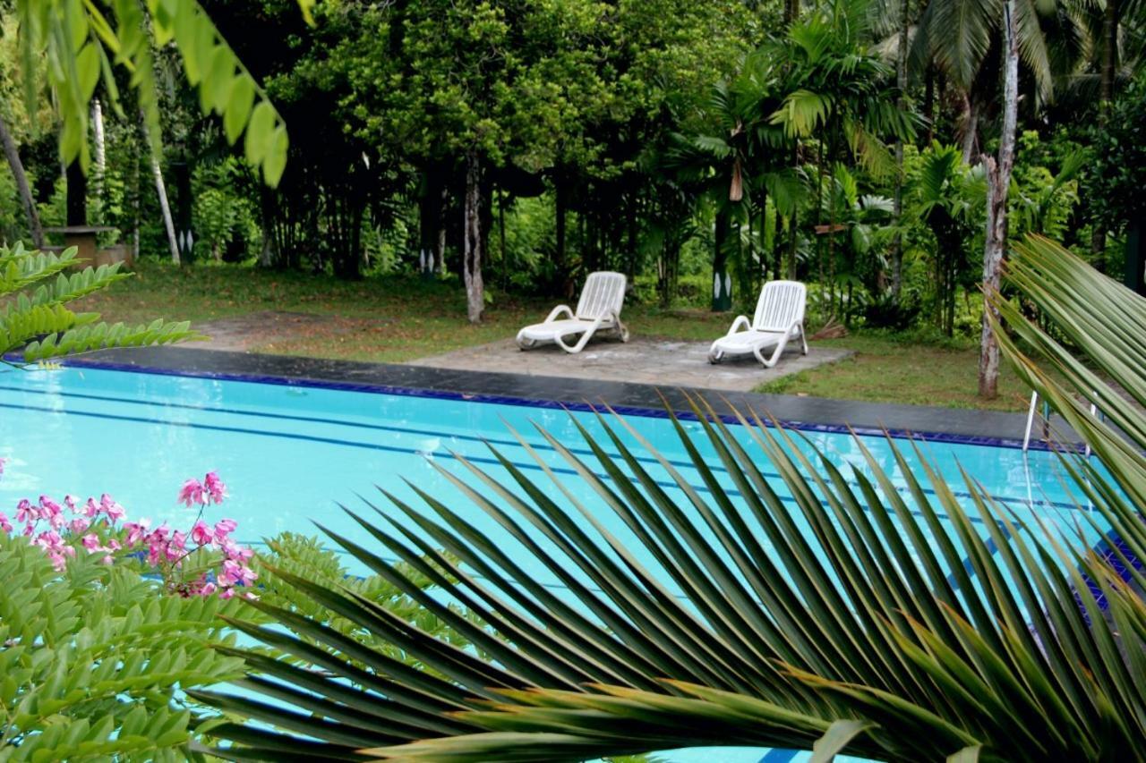 Randiyaepiliyagoda Resort Avissawella Kültér fotó